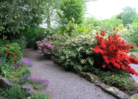 Декоративные кустарники для сада - красивое оформление ландшафта (фото)
